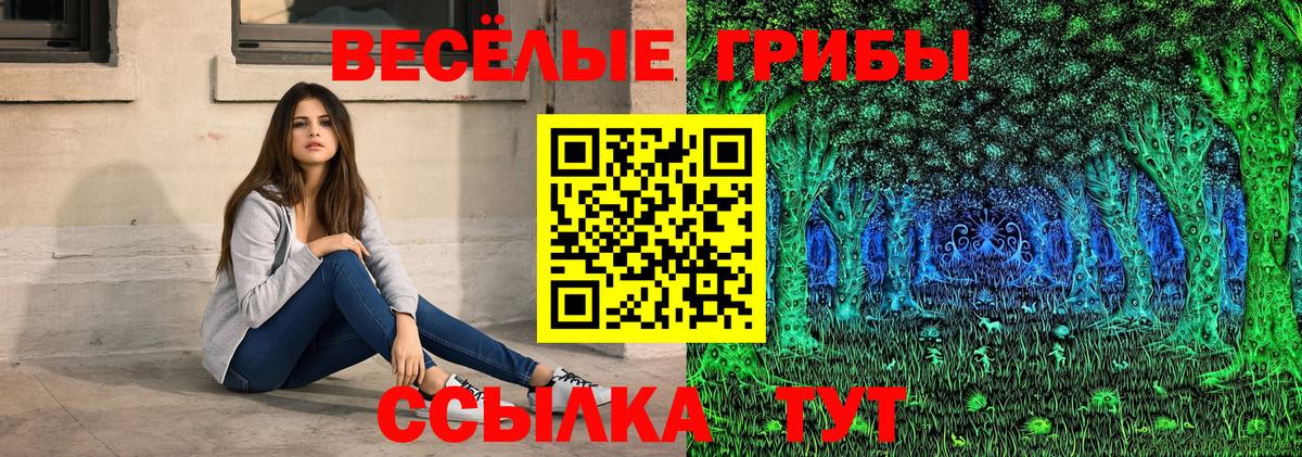 Псилоцибиновые грибы Psilocybe  где продают   Саранск  Вход с VPN 